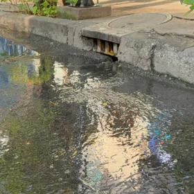 Fuga de aguas negras en Benito Juárez: Vecinos denuncian vivir con el problema desde hace tres meses