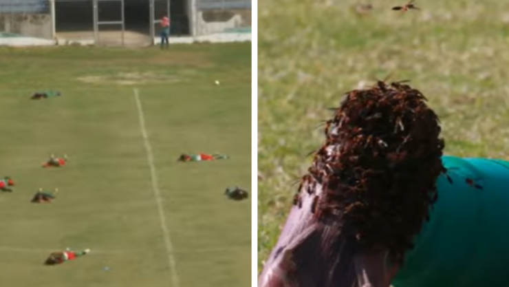 bolivia-abejas-futbol.jpg