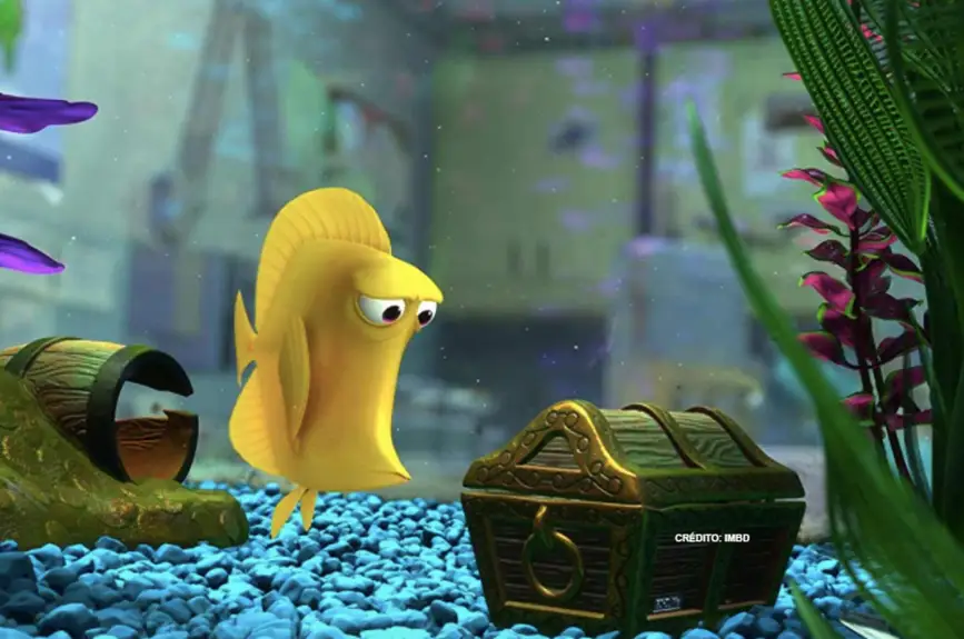 buscando-a-nemo