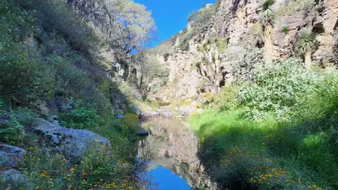 5 lugares naturales para hacer ecoturismo en Guanajuato