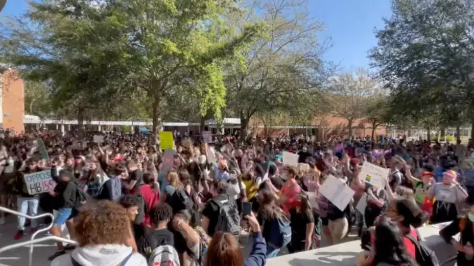 florida ley no digas gay orientacion sexual