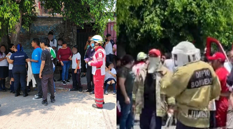 ¡Terror en el recreo! Ataque de abejas en telesecundaria de Cuautla, Morelos, deja más de 40 afectados