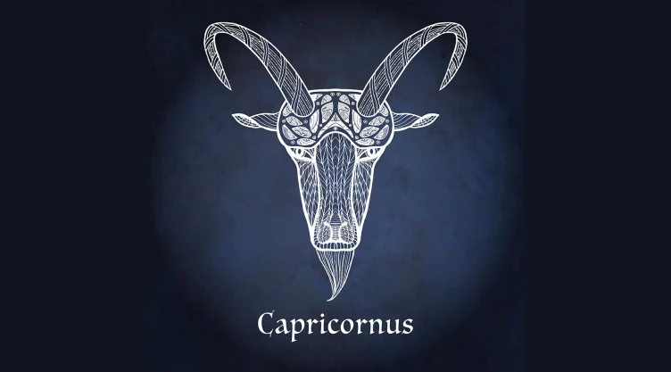 Signo Capricornio 3