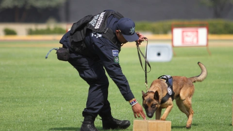 Unidad Canina de la Policía Federal cumple 30 años de servicio