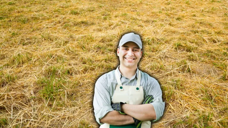 3 errores que hacen que tu pasto se vea seco y no lo sabes
