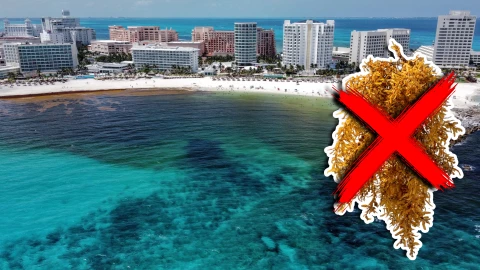 Playas libres de sargazo en Quintana Roo HOY 16 de septiembre de 2025_ Lista desde Holbox, Cancún, Tulum a Xcalak.jpg