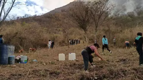 incendio altas montañas.