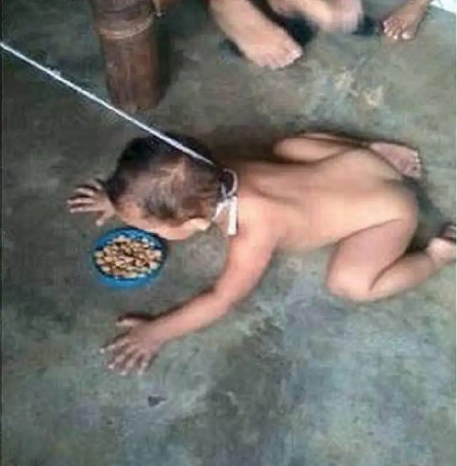 nioperro1.jpg