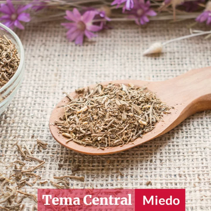 plantas medicinales calmantes miedo estres