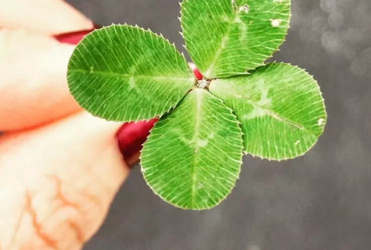 ¿Por qué el 11 de noviembre es el día con más suerte del año?