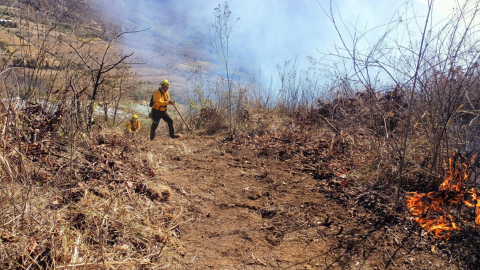 Combaten incendios en Veracruz.