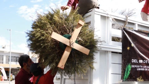 ¿Dónde llevar el árbol de Navidad Activan centro de acopio en Cancún