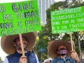 Marcha de AMLO asistentes