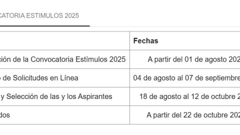 Beca Estímulos Educativos 2025