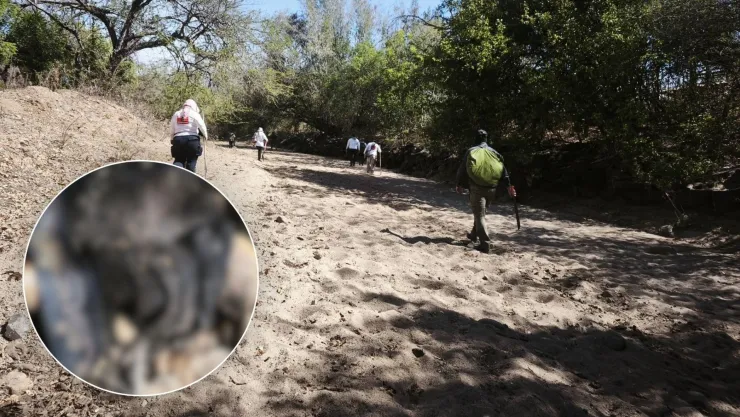 Hallan restos óseos en La Noria, Culiacán