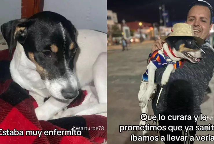 VIDEO: Perrito cumple promesa y visita a la Virgen de Guadalupe por salvarlo de una bacteria