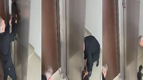 VIDEO FUERTE: Impactante rescate de un perrito colgado en un ascensor en Villa Crespo; un vecino logró revivirlo con RCP