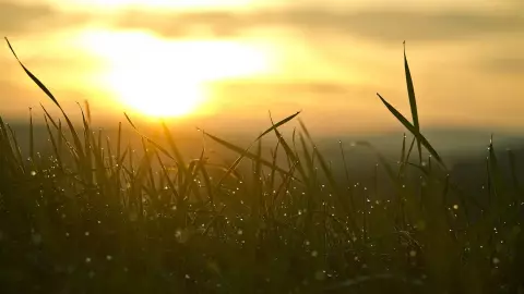 Clima en Morelos hoy