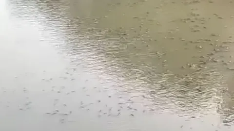 tiraderos de basura representan una amenaza para afluentes