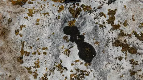 La humedad en casa puede provocar asma, hongos y otras enfermedades