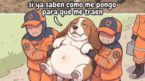 Meme perrito cargado.jpg