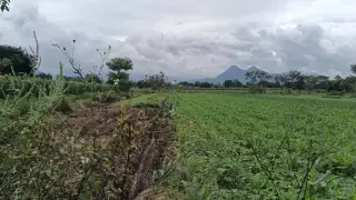 Campo veracruzano, en abandono por autoridades.