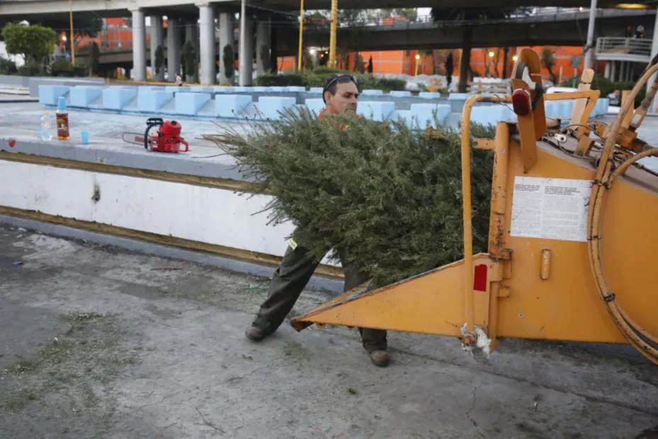 árboles Venustiano Carranza.jpeg