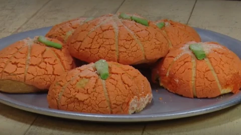 WhatsApp Image 2024-10-14 at 16.46.52.jpeg