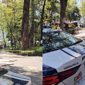 Hallan a hombre sin vida en bancas del Parque Allende en Coyoacán, CDMX