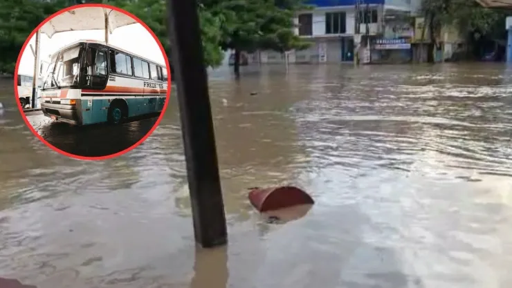 autobús