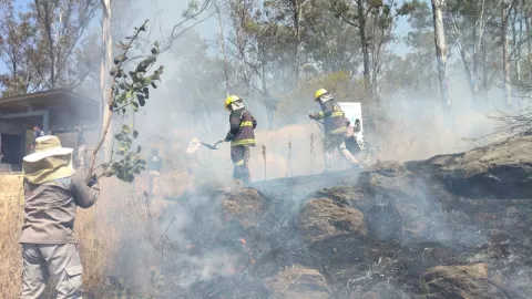 Incendio en el cerro de Amalucan