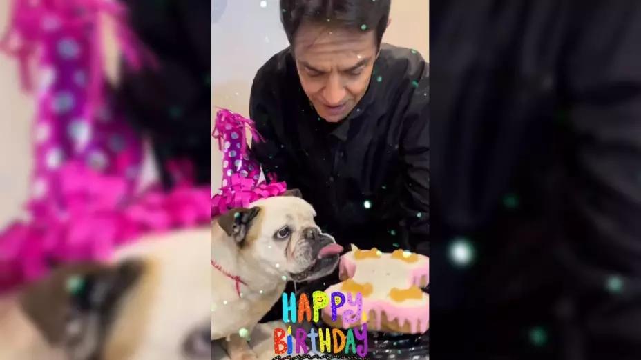 ¿Qué le pasó a la perrita de Eugenio Derbez? Esto sabemos