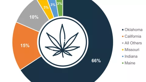 Los 5 principales estados con incautaciones de marihuana, en kilogramos, 2024