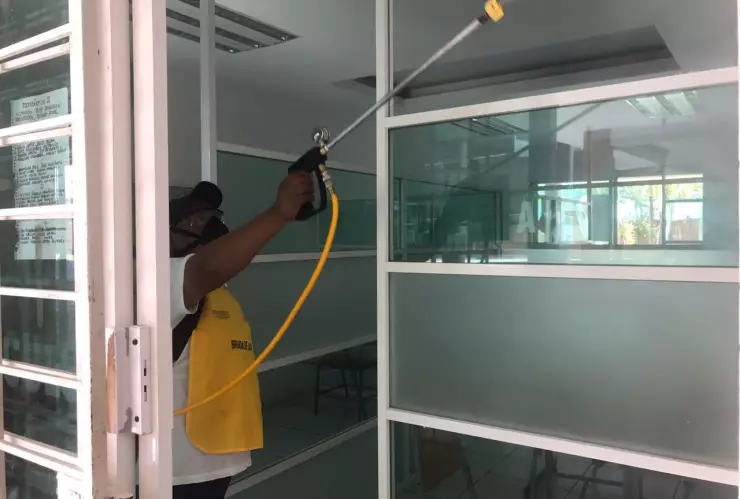 fumigacion mosquitos dengue