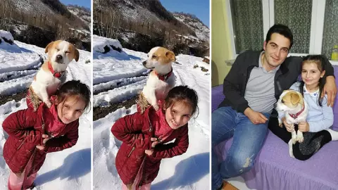 Niña recorrió más de dos kilómetros sobre la nieve para llevar a su perro al veterinario