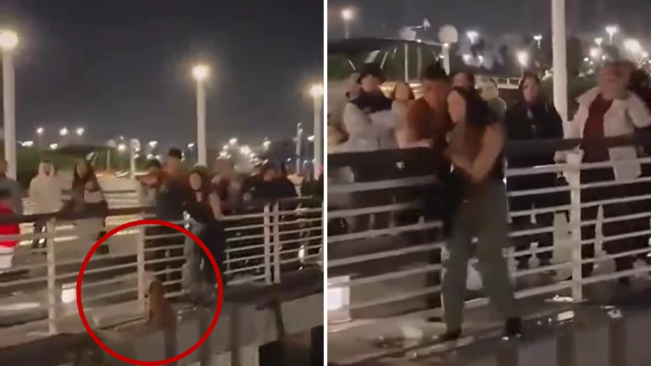 Mujer arriesga su vida para salvar a perrito al borde de un puente y se vuelve viral (1).png