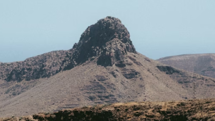 Perrito callejero ayudó a niño a sobrevivir en un cerro ¡llevaba 3 días perdido!