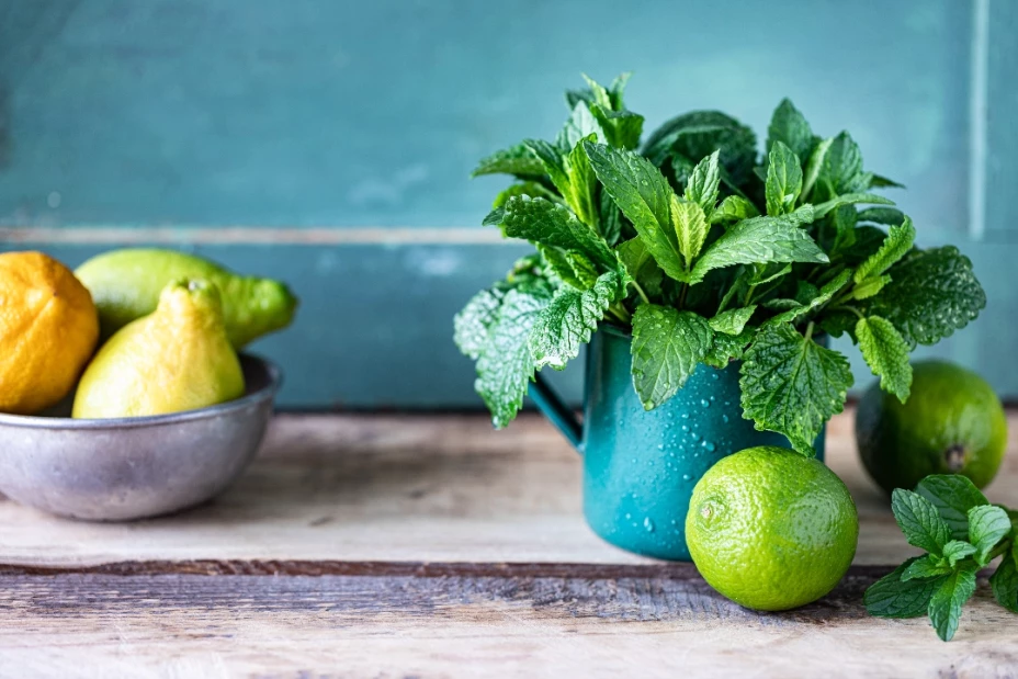 plantas que ahuyentan cucarachas