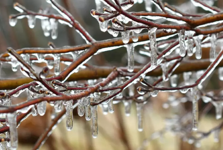 ¿Cuándo inicia y termina la temporada de Frentes fríos 2024-2025 en México? Te decimos cuántos habrá
