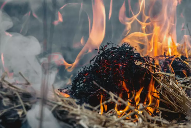 Factores incendios forestales California según la NASA.jpg