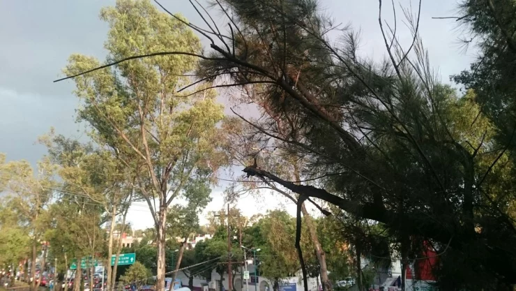 vientos de Santa Ana en Tijuana, Baja California mes de noviembre de 2024