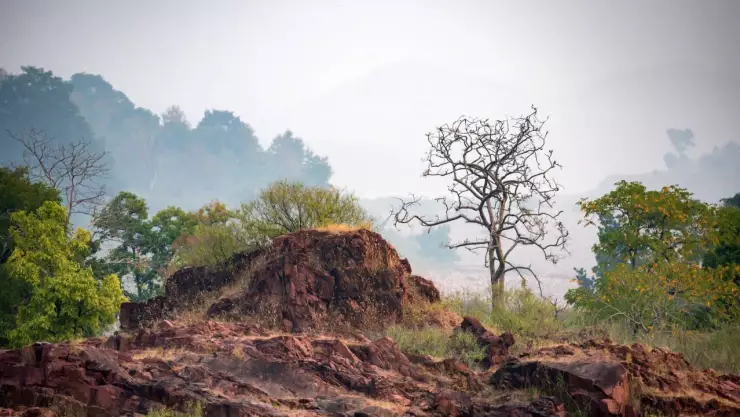 Santuario natural de Tutuaca