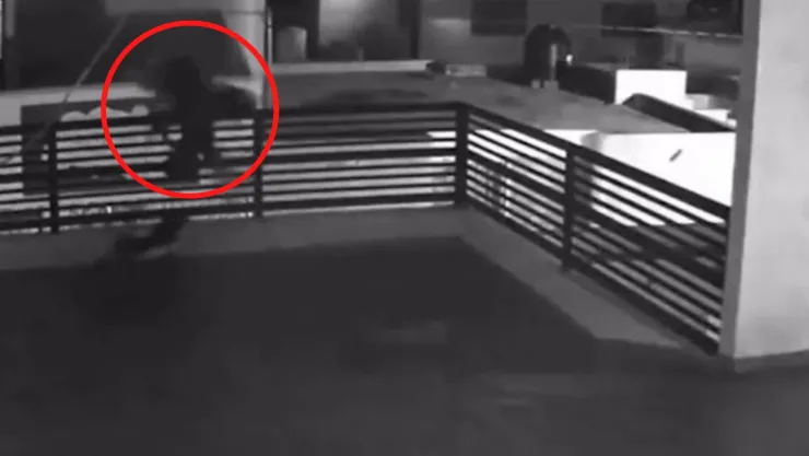ladrón huye de perros que frustan robo y se lanza por la azotea en saltillo .jpg