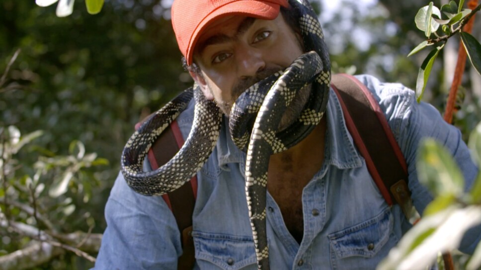 Indomable X Naturaleza