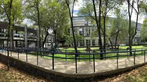 Más chinches en la UNAM ahora en Facultad de Veterinaria