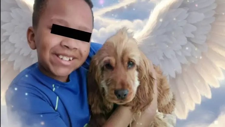 Niño de 11 años muere en Reino Unido tras dolor de garganta.