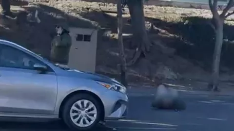 ¿Qué pasó en las garitas de Tijuana hoy martes 14 de enero de 2025?