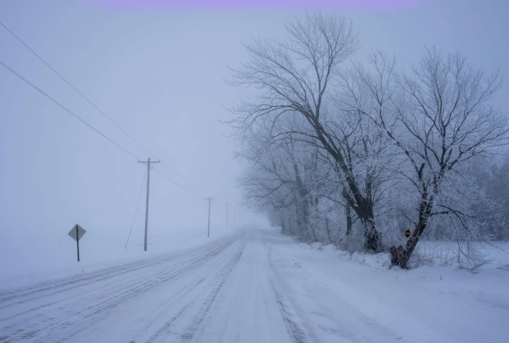 Declaran EMERGENCIA nacional en EE.UU.