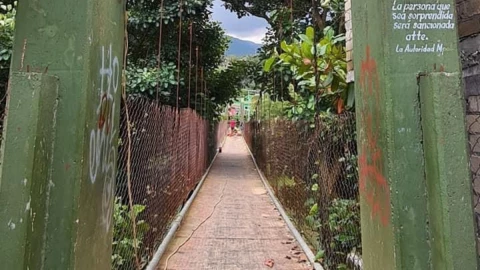 puente Oaxaca heridos