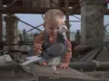 Cuidado-bebe-suelto